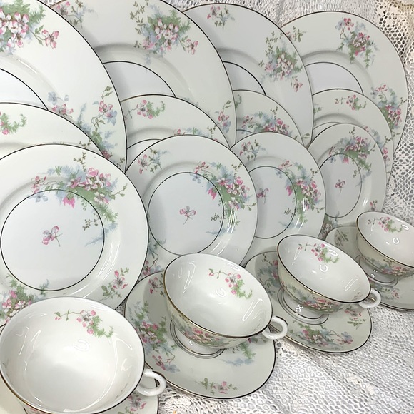 THEODORE HAVILAND (New York) -                 Apple Blossom 20 Piece Estate Set